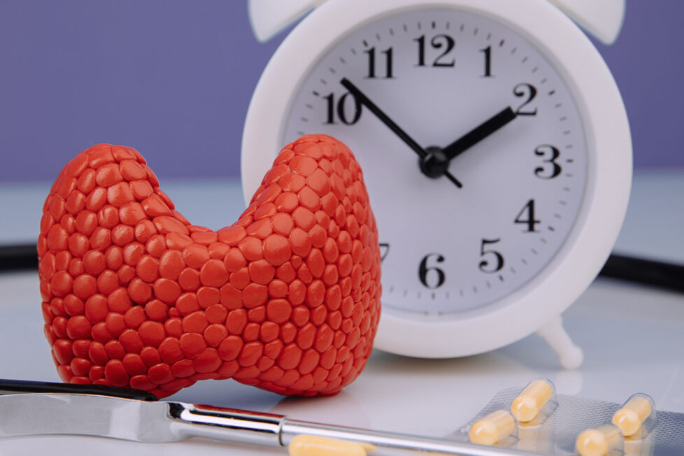 Аутоиммунный тиреоидит (АИТ) щитовидной железы: симптомы, лечение