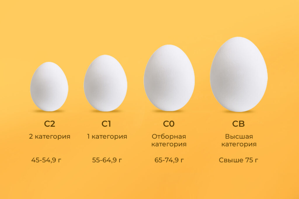 Категории яиц
