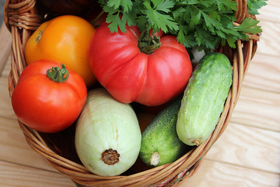 В каких продуктах содержится йод — Vertera Journal