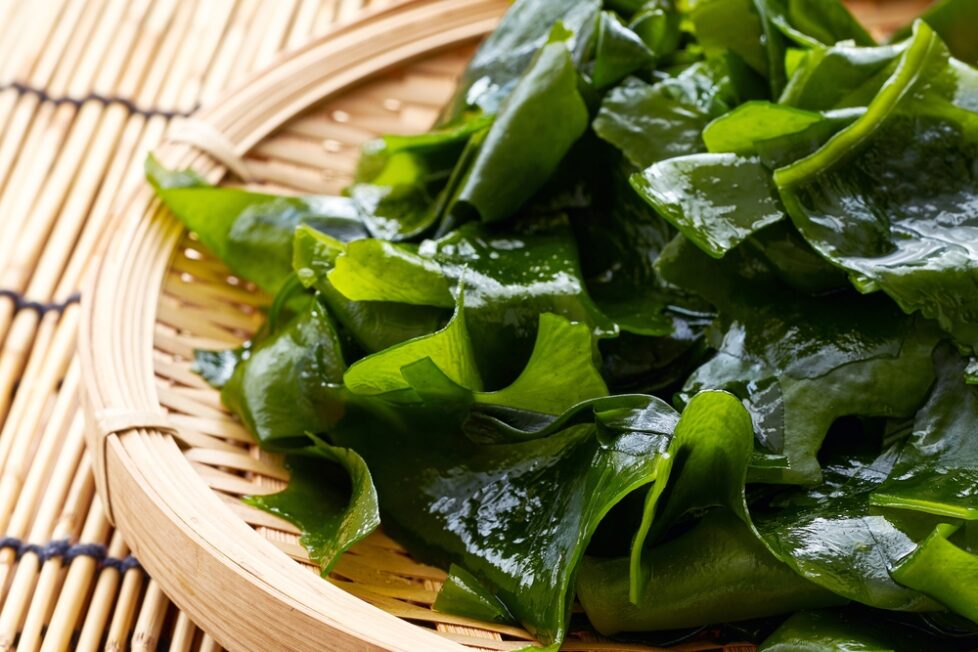 Морская капуста – польза и вред, лечебные свойства