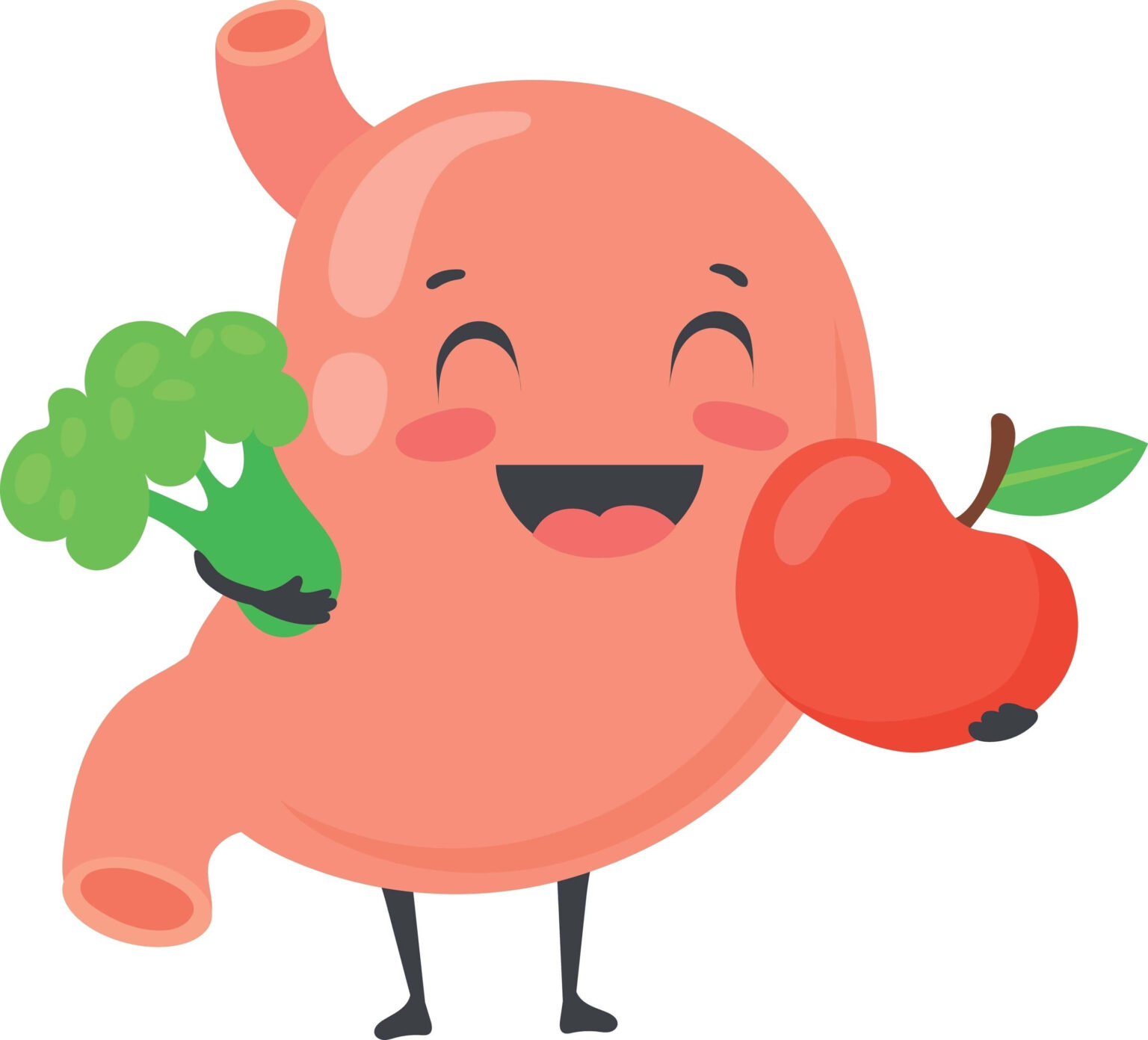 Как восстановить слизистую желудка и кишечника