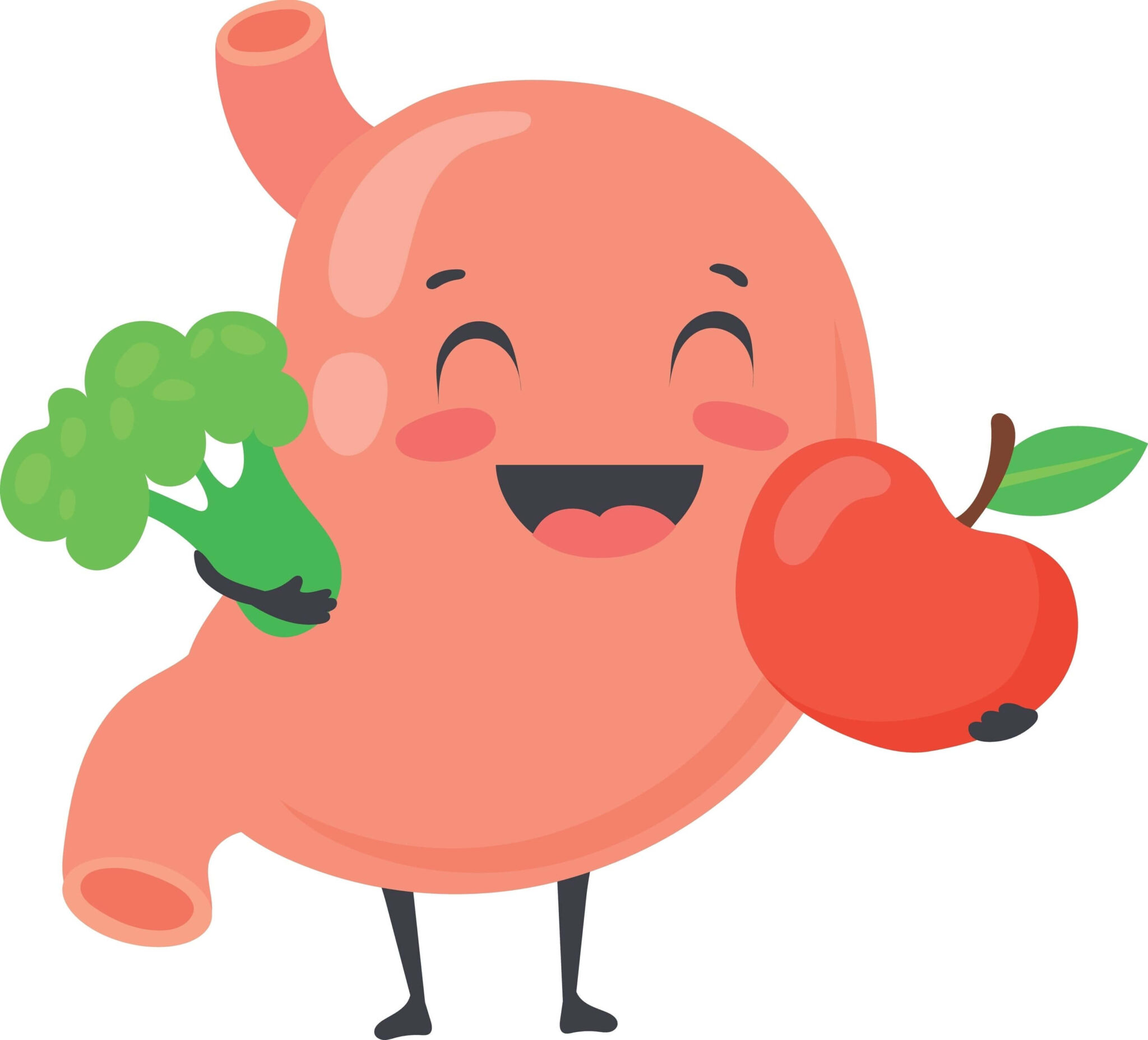 Как восстановить слизистую желудка и кишечника